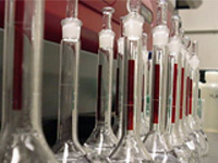 Chemical & Bulk Drug Industries