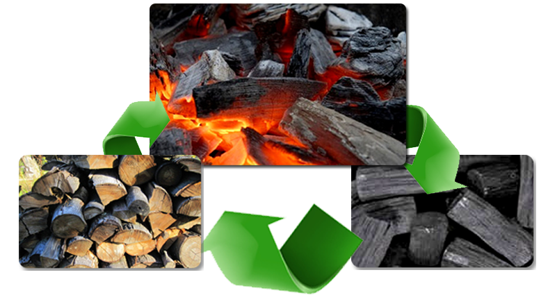 Wood Based Activated Carbon
